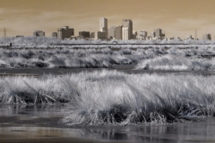 IR-Urban-Swamp